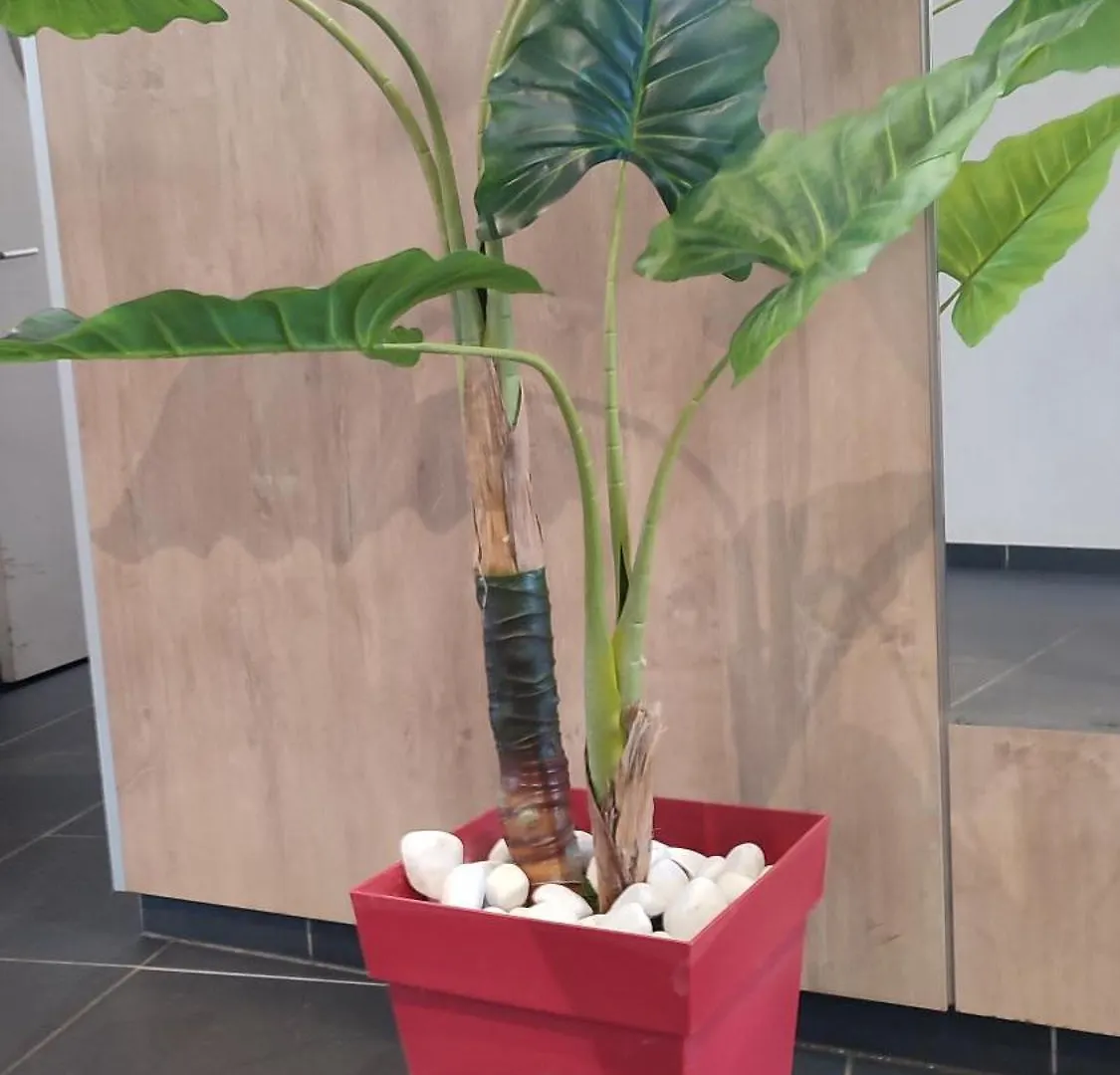 Escal'Home Appart Design Au Pied De L'Aeroport, Parkings Blagnac